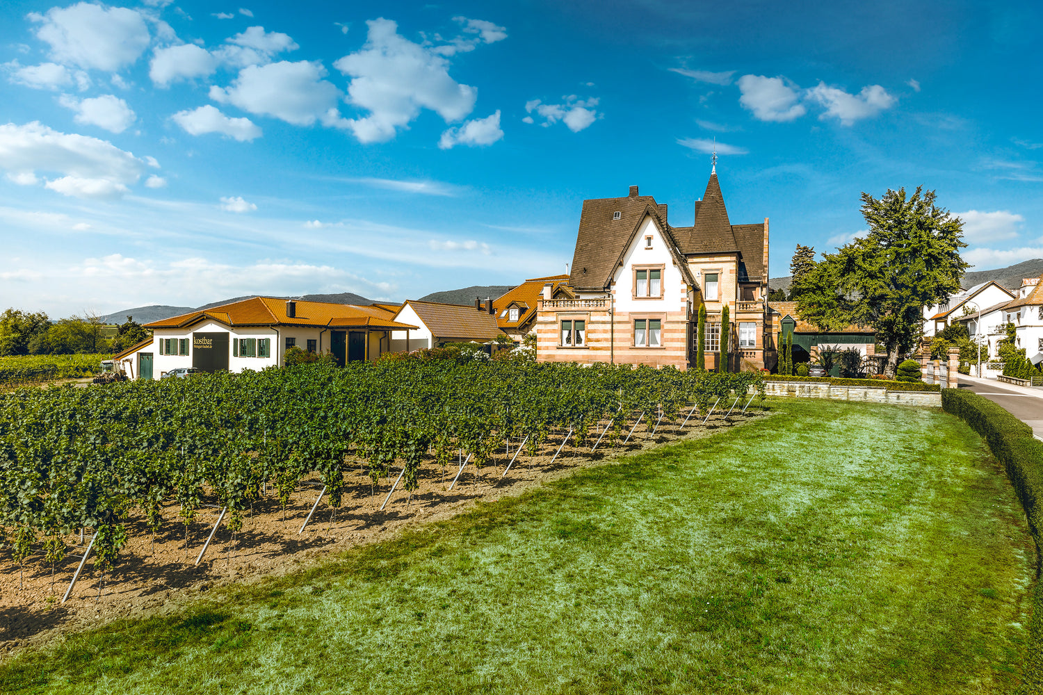 Weingut Faubel in Maikammer