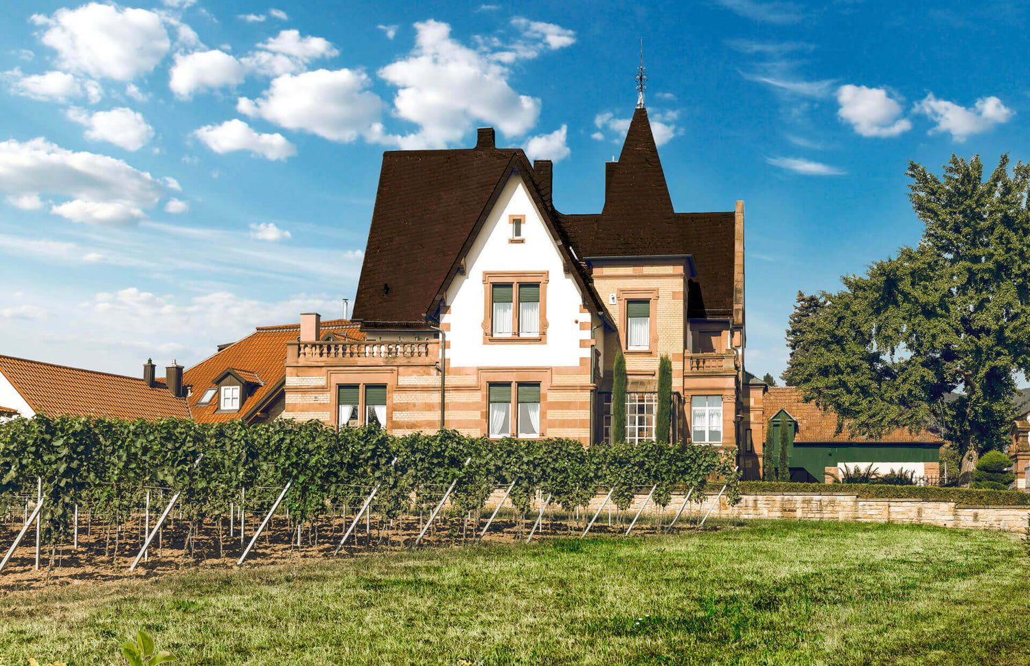 Weingut Faubel in Maikammer