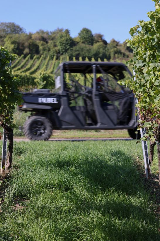 Gutschein: Weinberg-Safari für 5 Personen – CFMOTO UFORCE Erlebnis