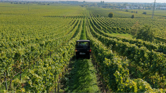 Gutschein: Weinberg-Safari für 2 Personen – CFMOTO UFORCE Erlebnis