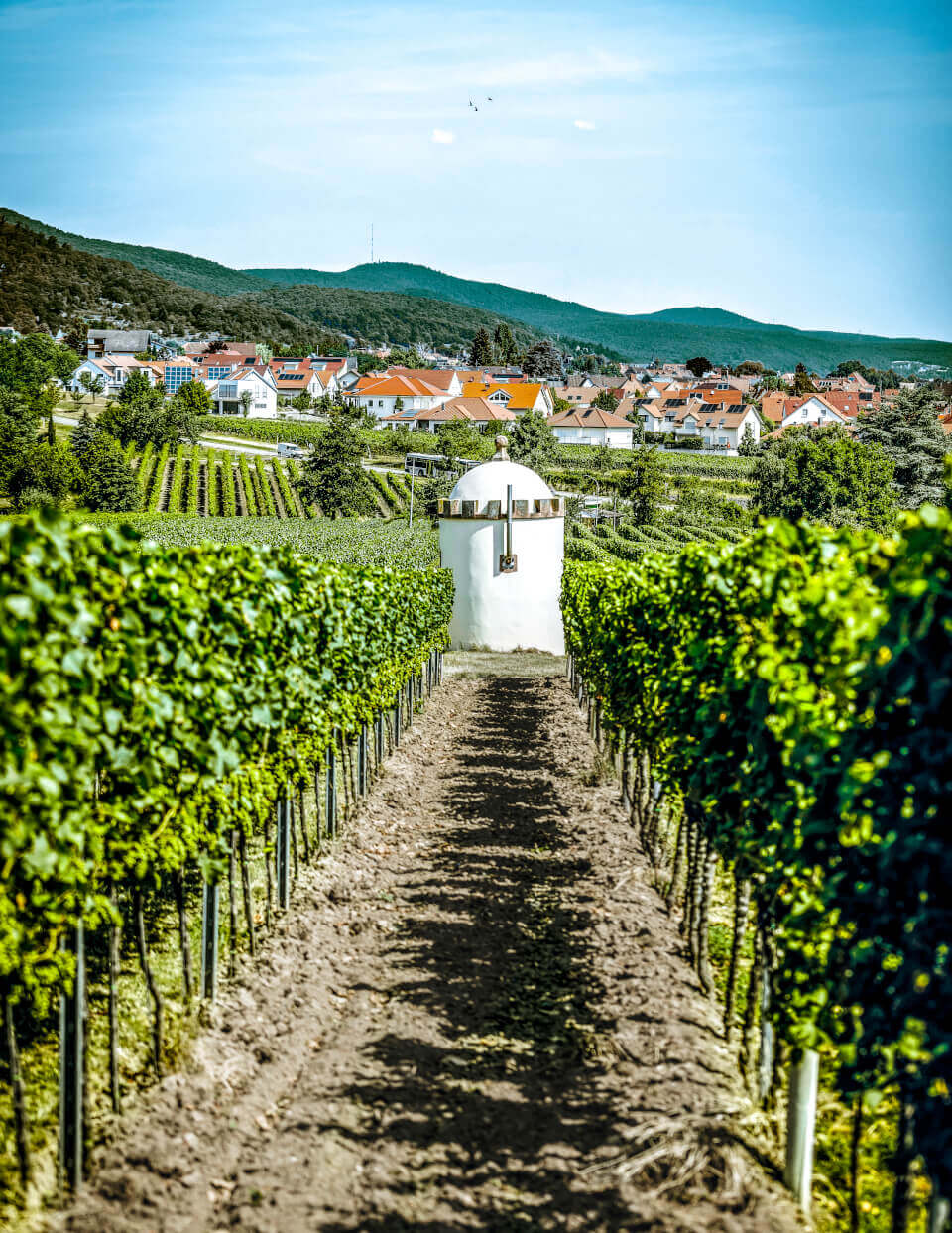 heimat-heiligenberg-portrait