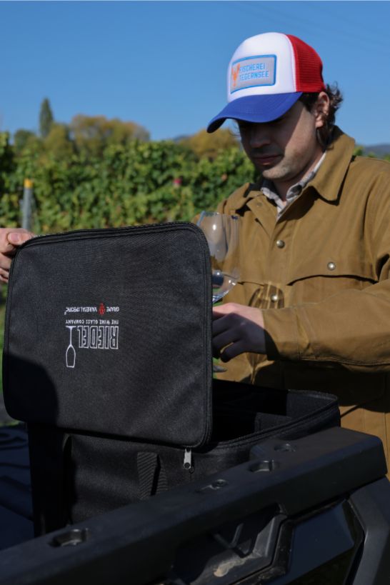 Gutschein: Weinberg-Safari für 5 Personen – CFMOTO UFORCE Erlebnis